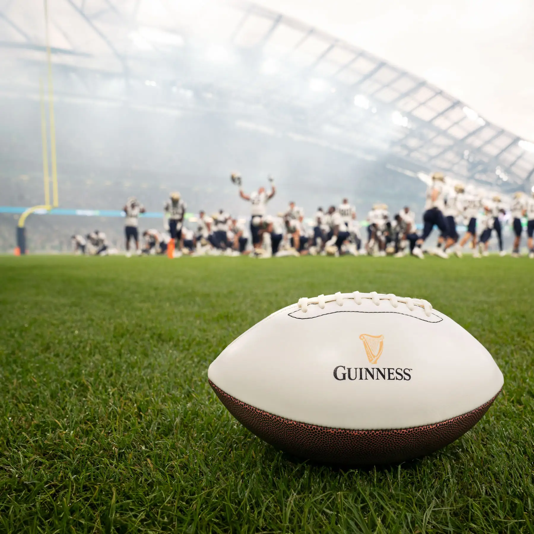 Guinness pint photographed pitch-side at Aviva Stadium